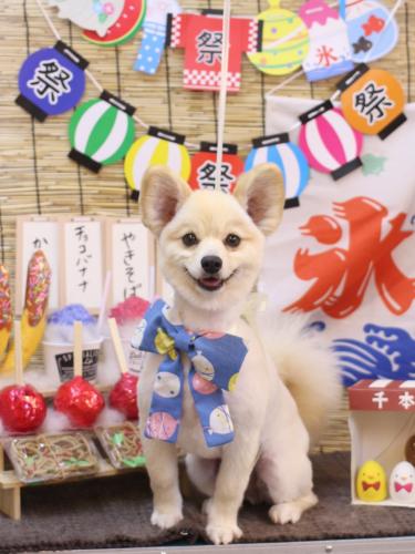 20240713ぽんずくん